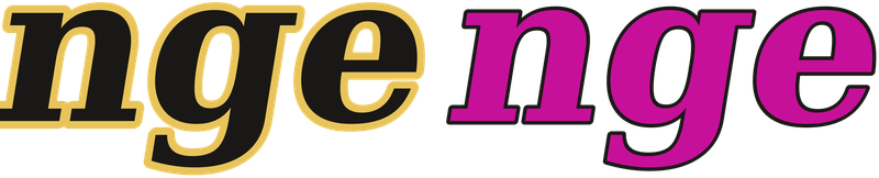 ngenge logo